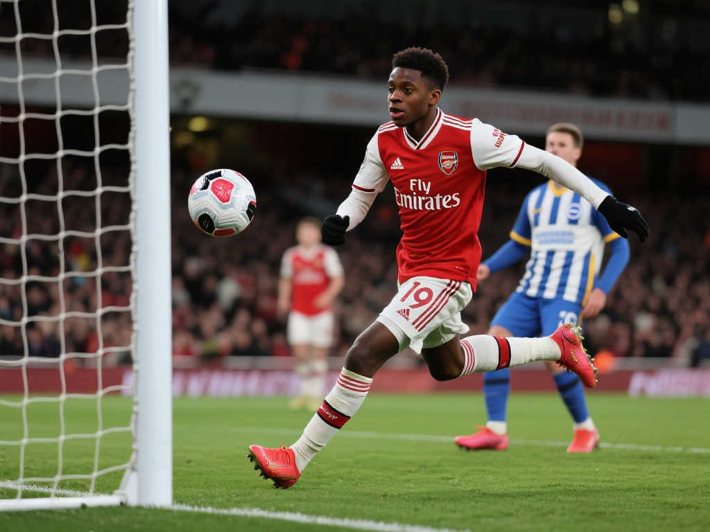 笼罩着球队 笼罩着球队